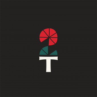 Divi Tomāti